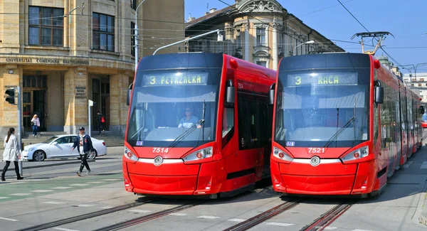 Bratislava Slovakien Mars 2019 Modern Spårvagn Gatorna Staden — Stockfoto