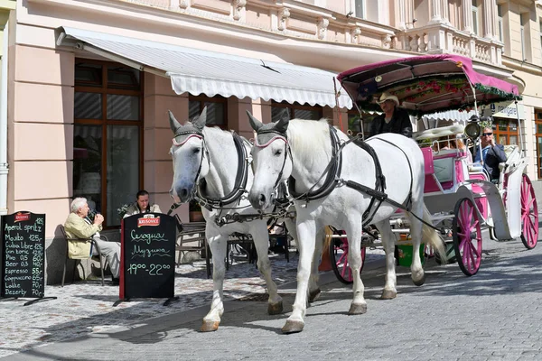 Karlovy Vary República Checa Mayo 2019 Carruaje Caballos Karlovy Vary — Foto de Stock