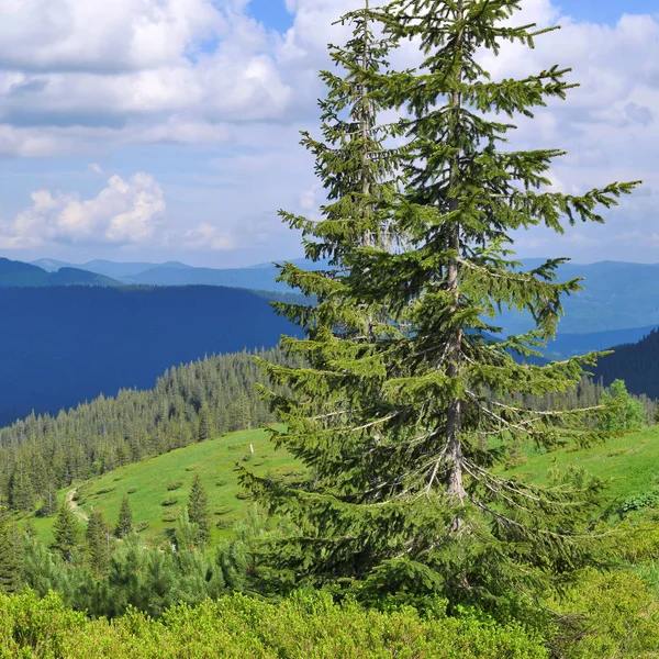 Bellissimo Paesaggio Con Montagne Cielo Blu — Foto Stock