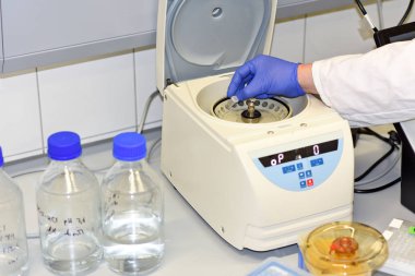 PRAGUE, CZECH REPUBLIC - 25 Mayıs 2019: laboratuvarda çalışan bilim adamı. Organik ve Biyokimya Enstitüsü.