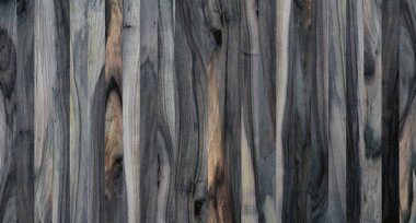 Ahşap panel ahşap bir parçası. Ceviz.