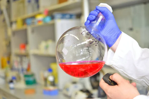 A chemist shows fluorescence of rhodamine solution using simple laser pointer