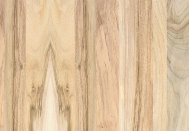 Ahşap panel ahşap bir parçası. Ceviz.