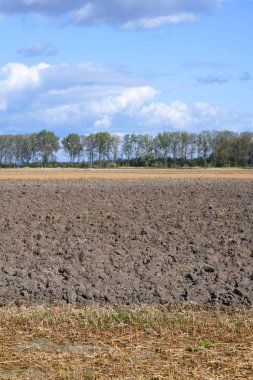 Sonbahar manzara sürülmüş alan.