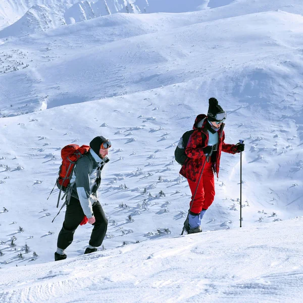 Hikers Backpacks Winter Mountains — Stock Fotó