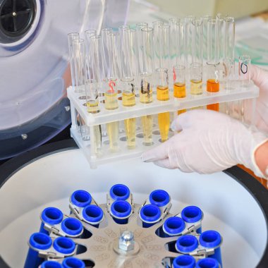 PRAGUE, CZECH REPUBLIC - 25 Mayıs 2019: laboratuvarda çalışan bilim adamı. Organik ve Biyokimya Enstitüsü.