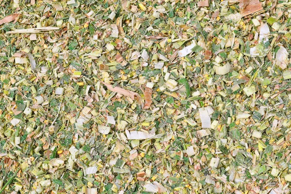 地上干枯的叶子 — 图库照片