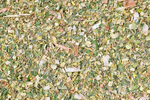 Dry Leaves Ground — Stock Photo, Image