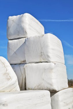 Plastik beyaz folyoyla korunan saman balyaları bir mandıra çiftliği.