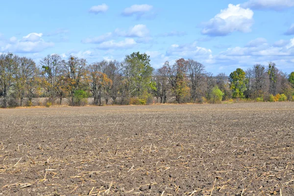 Plowed Field Countryside — Stock Photo, Image