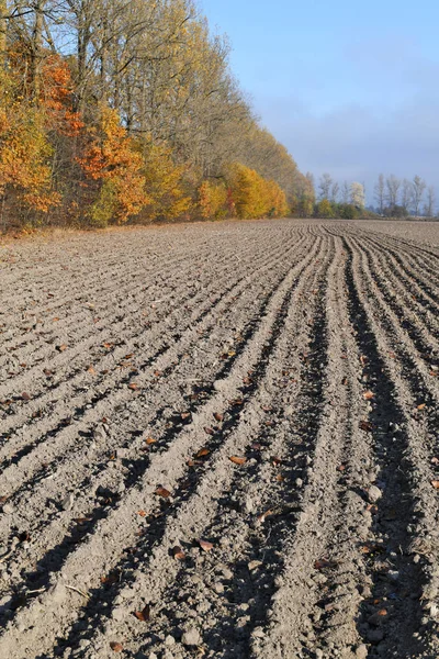 Plowed Field Agricultural Background — Foto de Stock