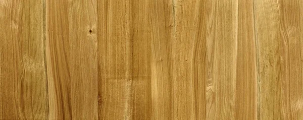 Ett Fragment Trä Panel Lövträd Oak — Stockfoto