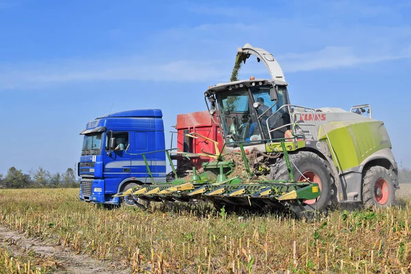 Combinare Mietitrebbia Lavorando Campo — Foto Stock