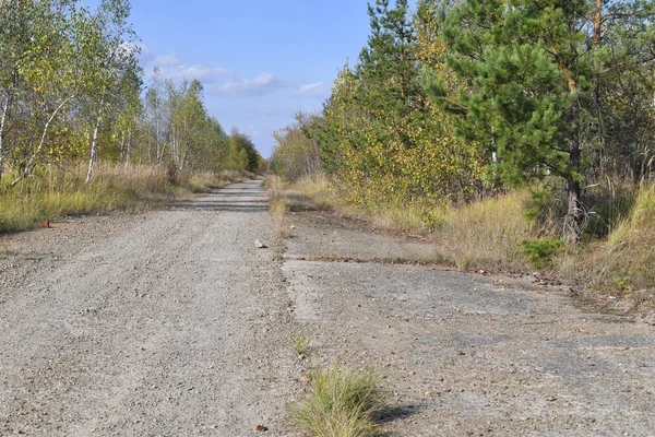 Old Abandoned Concrete Road Autumn Landscape — Stock Photo, Image