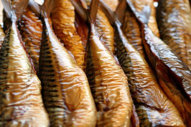 Taze altın füme uskumru closeup fotoğraf