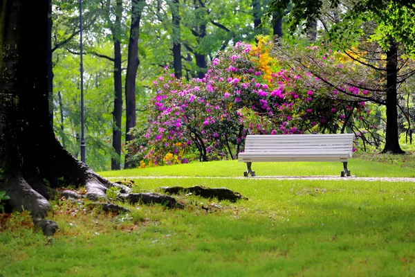 Banc Blanc Vide Dans Parc Été Espace Vide Pour Texte — Photo