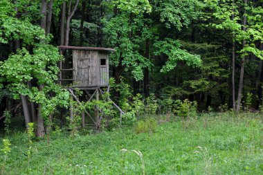 Avcıların hayvan avladıkları ormanın kenarındaki avcı tareti.