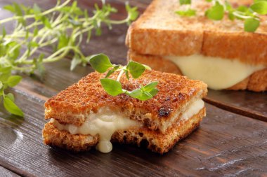 Peynirli taze sandviç ve Tex için boş alanı olan otlar.