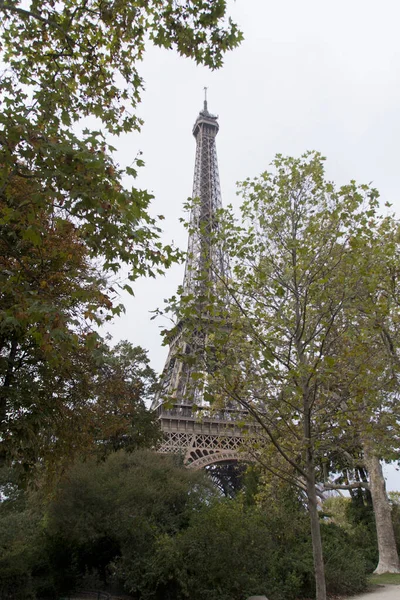 Eyfel Kulesi ağaçların arkasında — Stok fotoğraf