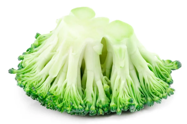 Broccoli Vegetali Isolati Fondo Bianco Primo Piano — Foto Stock