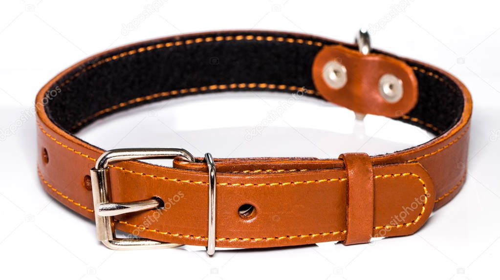  leather dog-collar isolated over the white background, side view.