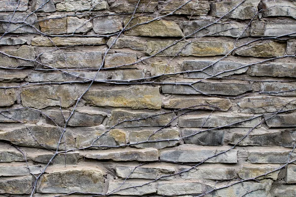 Taştan Bir Duvar Dokusu Arka Plan Veya Doku Için Taştan — Stok fotoğraf