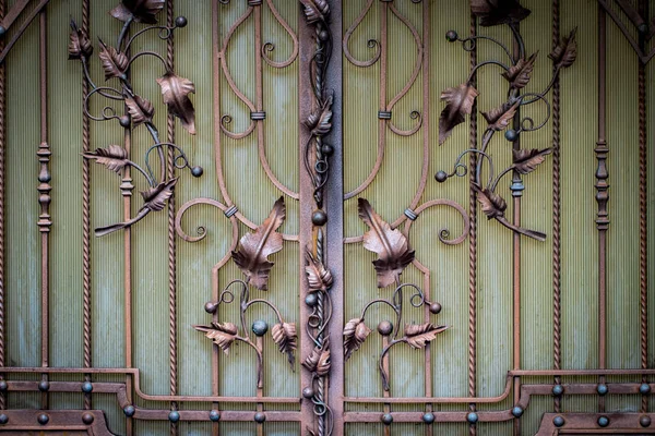 Puertas Hierro Forjado Forja Ornamental Elementos Forjados Cerca — Foto de Stock