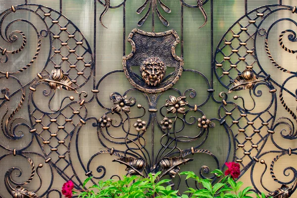 Detalles Estructura Ornamentos Puerta Hierro Forjado Adornos Decorativos Con Leones —  Fotos de Stock