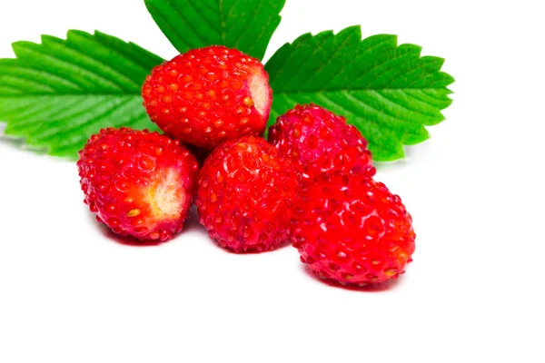 Yabani çilek beyaz arka plan closeup izole.