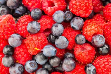 Ahududu ve böğürtlen. Taze organik çilek makro. Meyve arka plan.