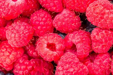 Ahududu. Taze organik çilek makro. Meyve arka plan.