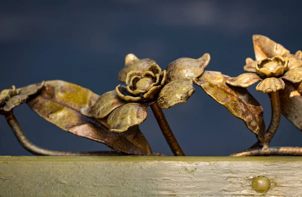 Detalhes Estrutura Ornamentos Portão Ferro Forjado Ornamen Decorativo Com Flores — Fotografia de Stock