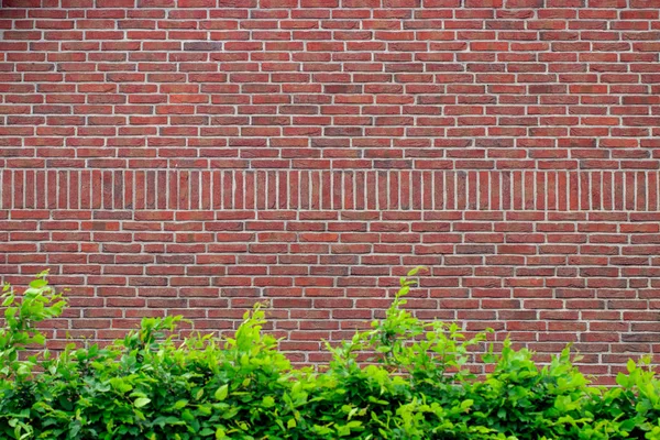 Grunge Červená Cihlová Zeď Pozadí Kopírovacím Prostorem — Stock fotografie