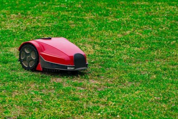 Robot lawn mower on summer meadow in the garden with copy space.