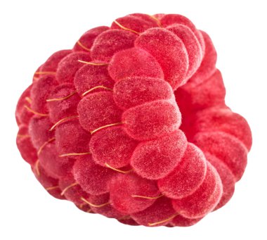 İzole edilmiş dut. Beyaz arka planda izole edilmiş taze ahududu meyvesi..