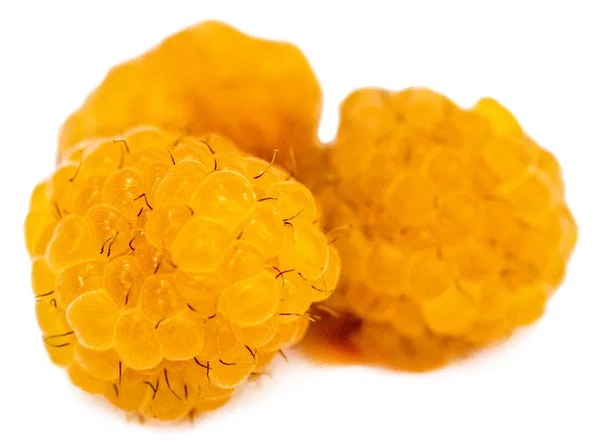 Frambuesas Amarillas Con Hoja Aislada Sobre Fondo Blanco Macro —  Fotos de Stock