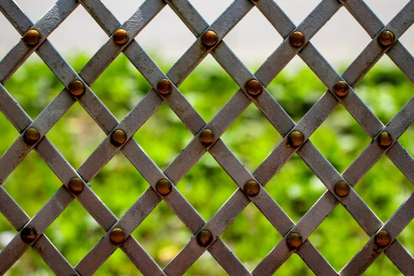 örgü yeşil çimenlerin üzerinde arka plan ile dövme.