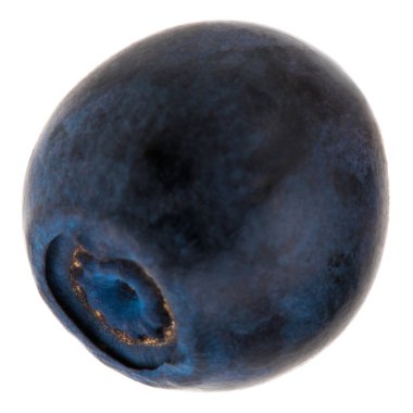 izole meyve. Beyaz arka plan üzerinde izole bir taze yaban mersini meyve.