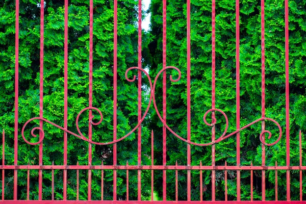 Μια Κλειστή Σφυρηλατημένη Μεταλλική Πύλη Που Βλέπει Ένα Μονοπάτι Κήπου — Φωτογραφία Αρχείου