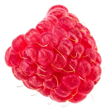 İzole edilmiş dut. Beyaz arka planda izole edilmiş taze ahududu meyvesi..