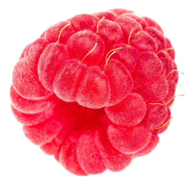 孤立したベリー 白い背景に孤立した新鮮なラズベリーの果物の1つ — ストック写真