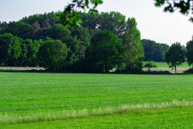 Güzel yaz park bulutlu gökyüzü ile Panorama görünümünü.