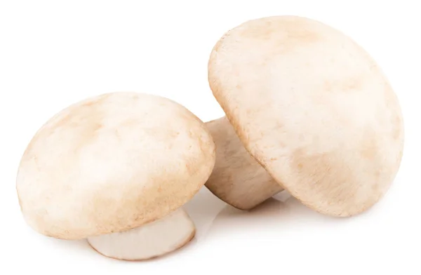 Champignons Frais Isolés Sur Fond Blanc — Photo