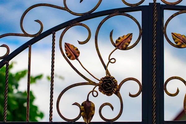 Forge Detail. Part Of A Wrought Iron Fence. Design Pink Iron Gate Details.  Stock Photo, Picture and Royalty Free Image. Image 38889232.