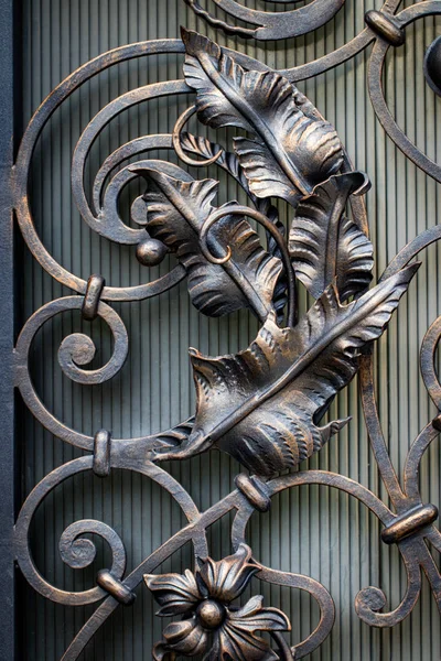 Fotos de Puertas Hierro Forjado Forja Ornamental Elementos Forjados Cerca -  Imagen de © alex_skp #206410282