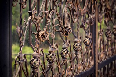 süslü Ferforje metal geçit dekorasyon unsurları.