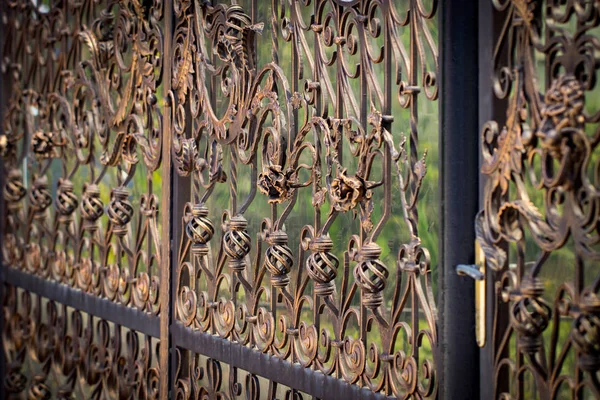 Ornate Wrought Iron Elements Metal Gate Decoration — Stock Photo, Image