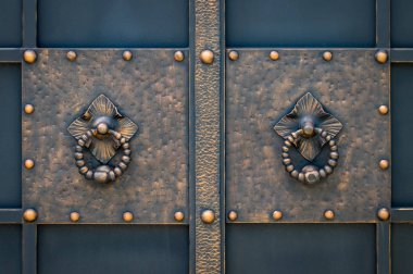 Güzel dekoratif metal elementler dövülmüş demir kapılar..