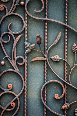 Güzel dekoratif metal elementler dövülmüş demir kapılar..