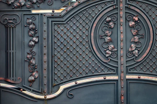 Krásná Dekorativní Kovové Prvky Kované Brány Tepaného Železa — Stock fotografie
